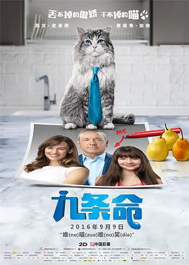 天天碰天天摸天天操