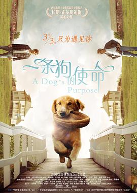 嫂子的职业乐享网
