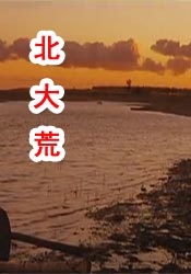 日本视频不卡