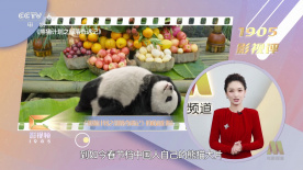 红桃ht460.com